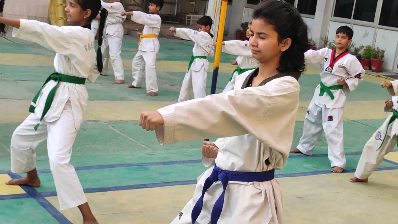 Basic Punches ( Mom-tong Jireugi) #taekwondo #punches #strenght #speed