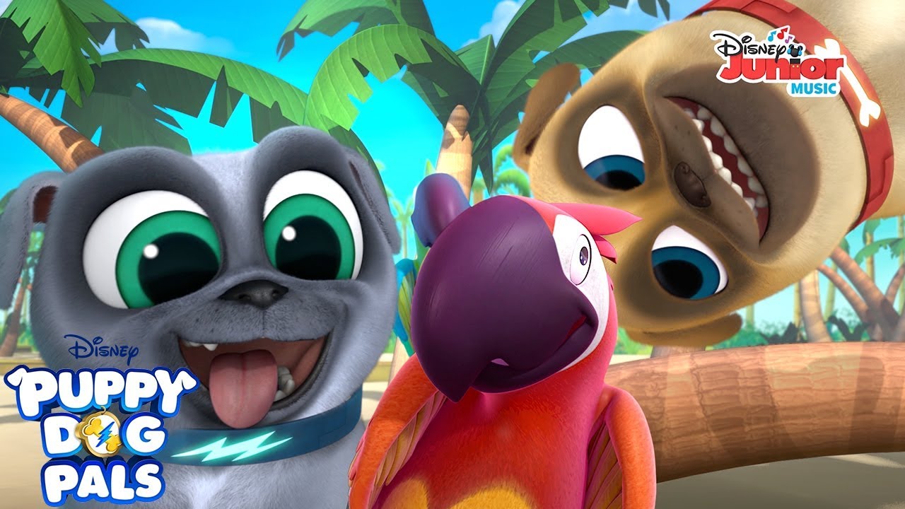 Looking for Bob's Bird | Music Video | Puppy Dog Pals | Disney Junior