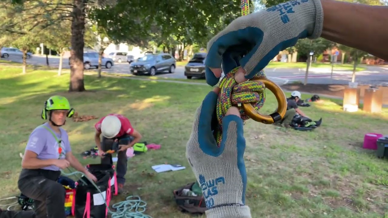 Tying a ring onto an alpine butterfly for canopy anchor