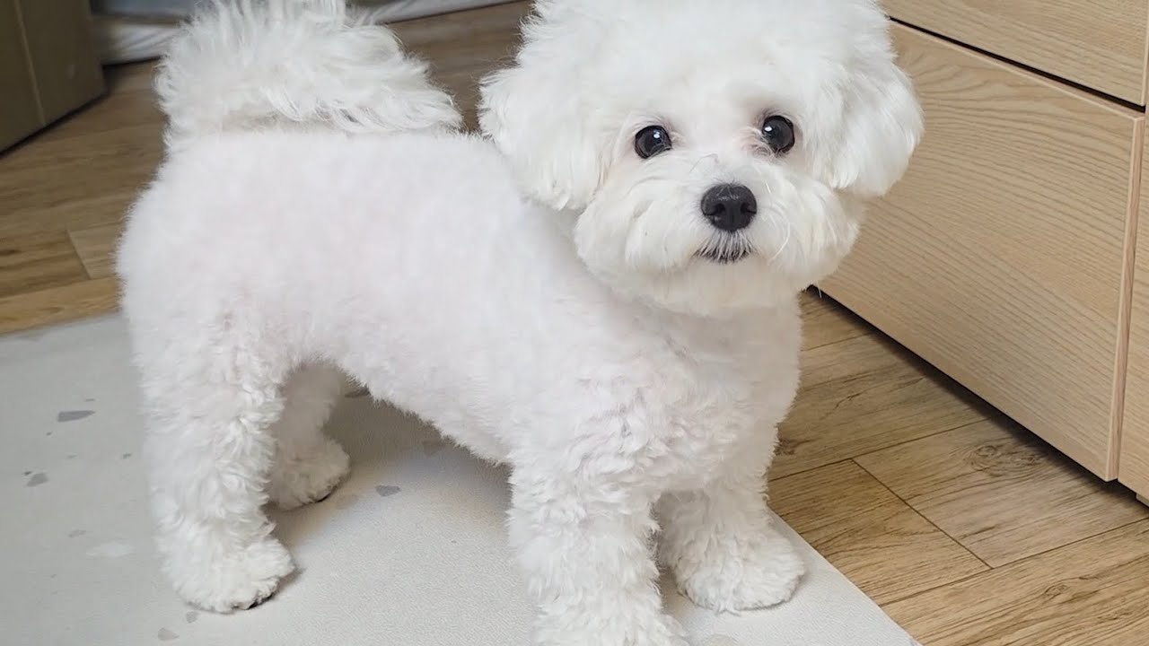 무엇을 원하십니까