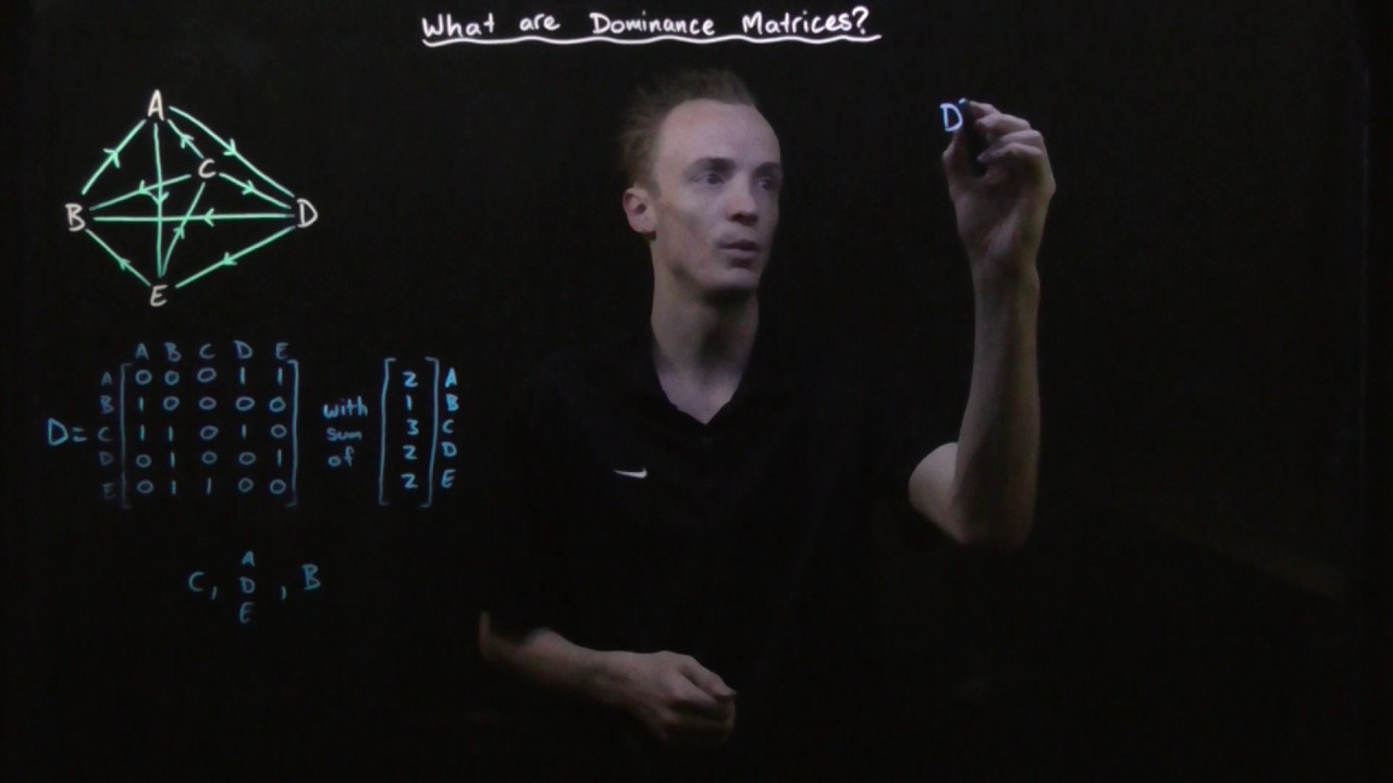 Modelling With Matrices: What are Dominance Matrices?