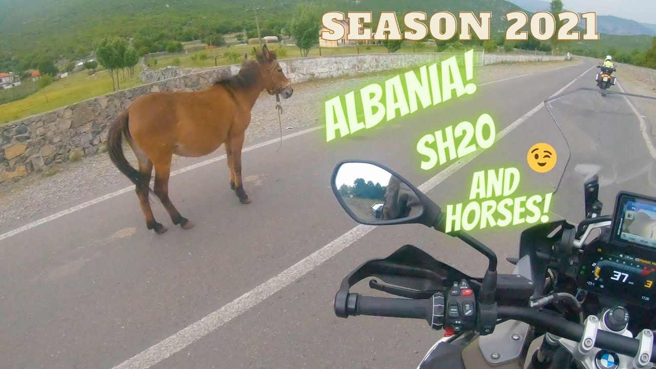 Motorcycle trip to Albania || SH20 & horses || BMW R1250GS Adventure || 4K||