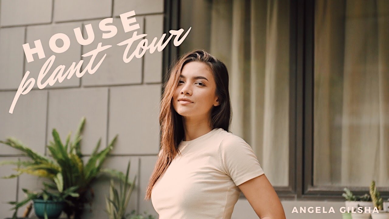 House Plant tour | Plant care #Eps2