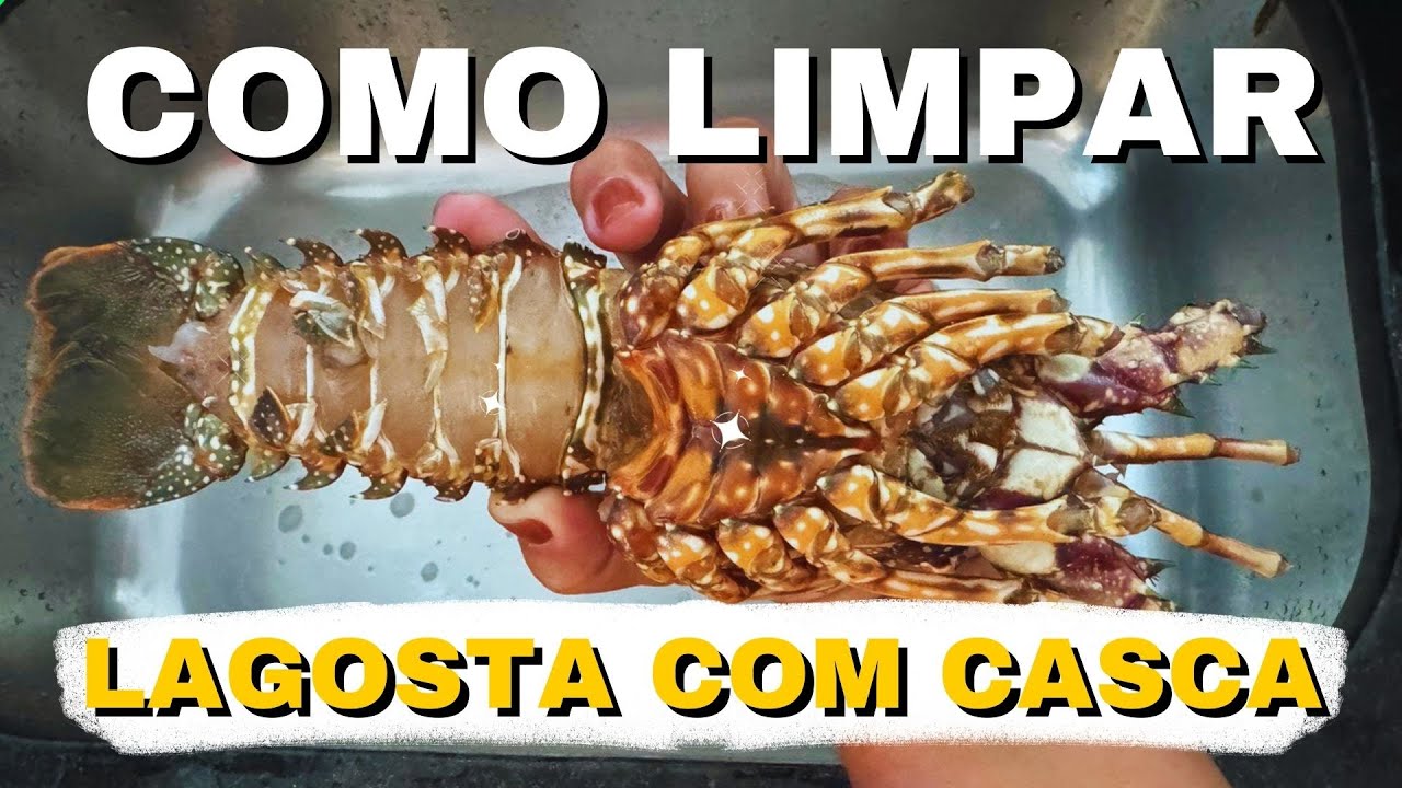 🦞COMO LIMPAR LAGOSTA COM CASCA - Dicas Essenciais para Preparar um Prato Perfeito!