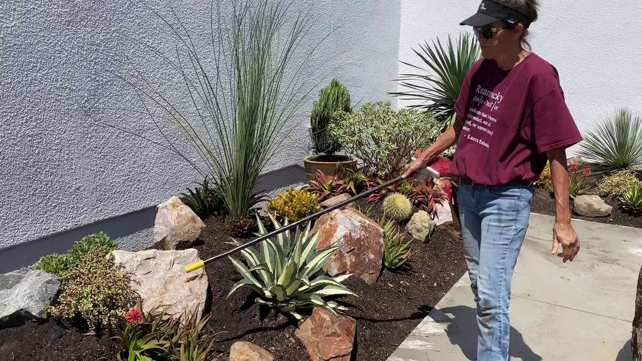 Granite Hills Succulent Garden Install Day 2 (Plants Plants Plants)