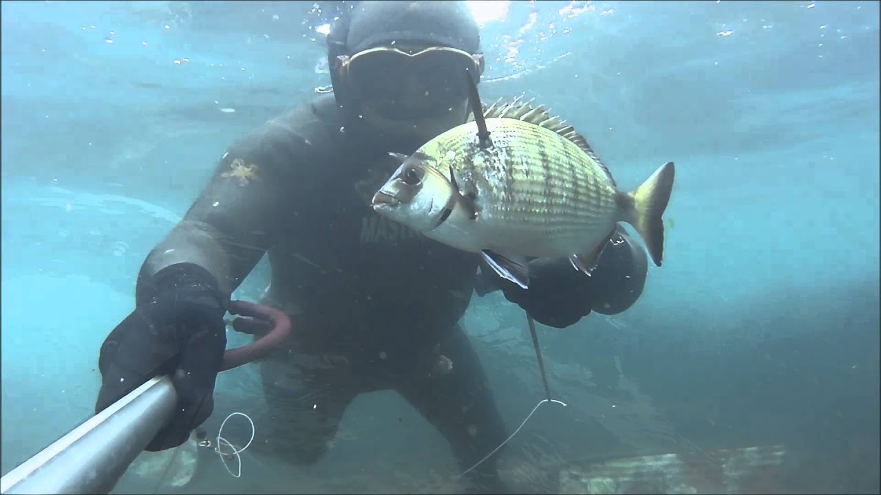 FLOAT DRY BAG OMER plancetta boa pescasub e apnea spearfishing Sony AS50