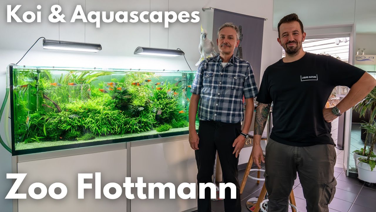 Einer der schönsten Aquarium Läden in Deutschland! Zoo Flottmann