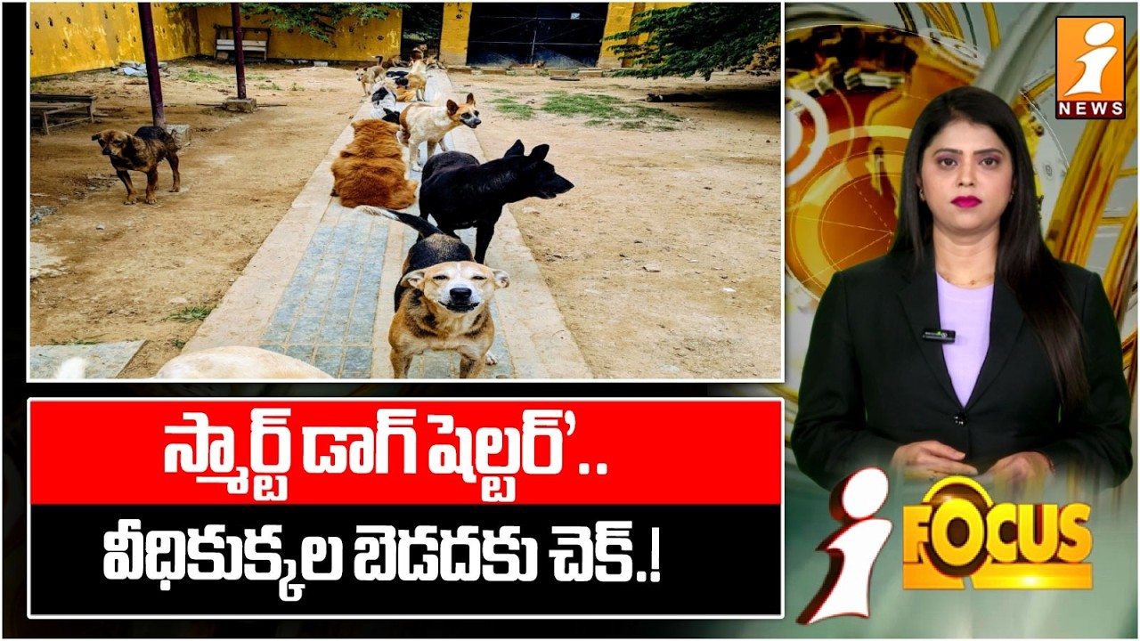 వీధికుక్కల బెడదకు చెక్.! | 'Smart Dog Shelter' | Check For Street Dogs | iFocus