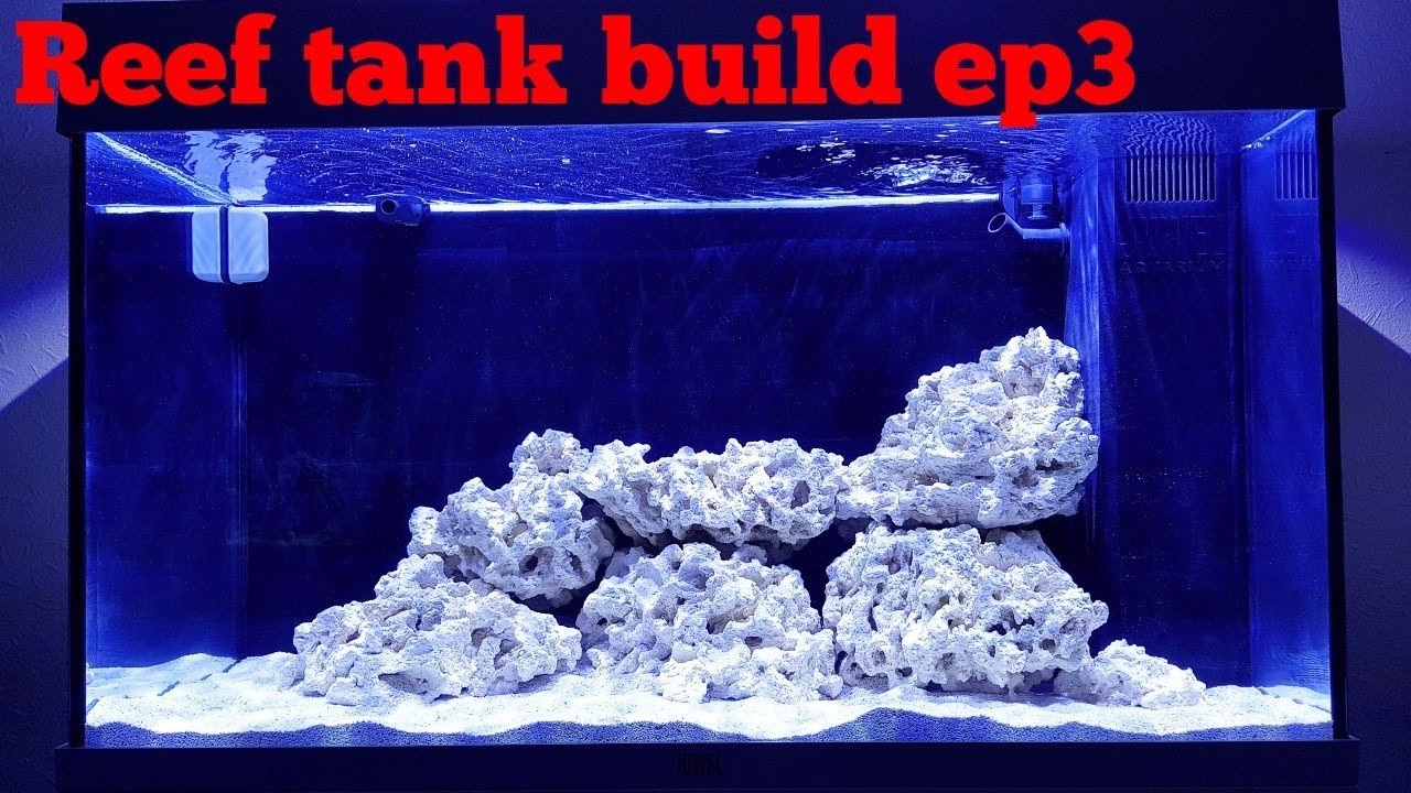 Reef tank build ep3