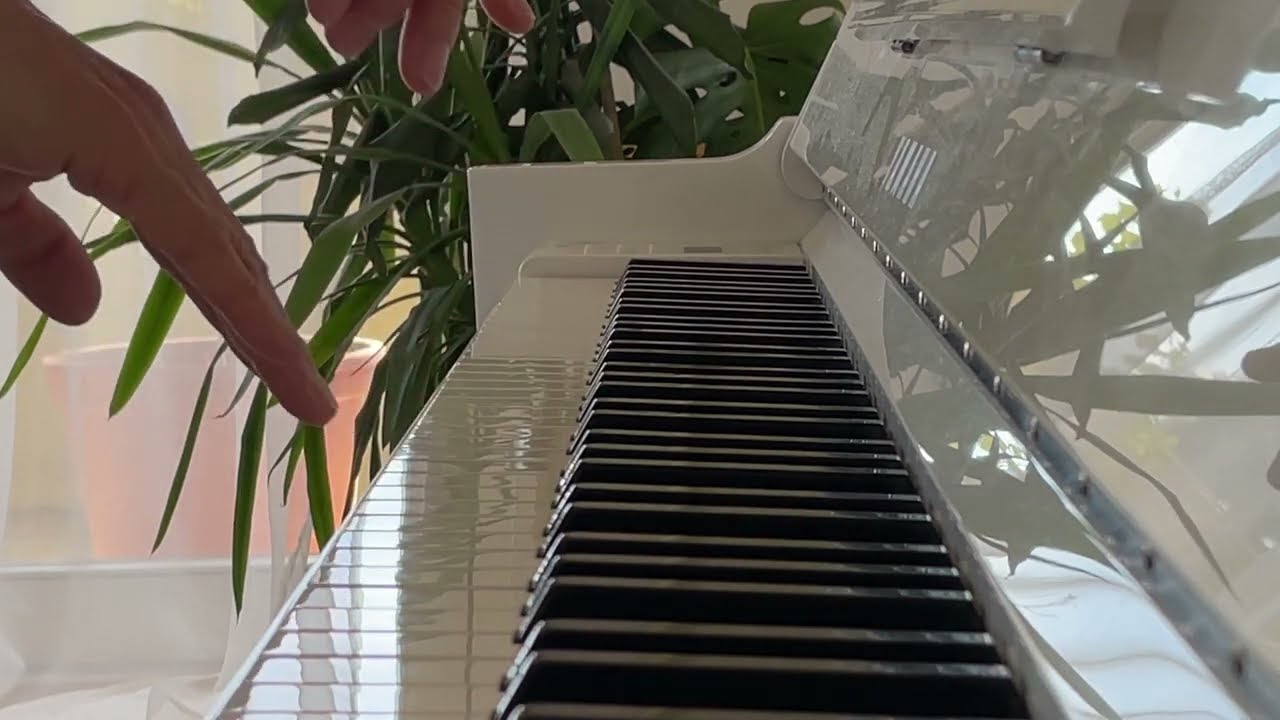 Liebestraum - Franz Liszt