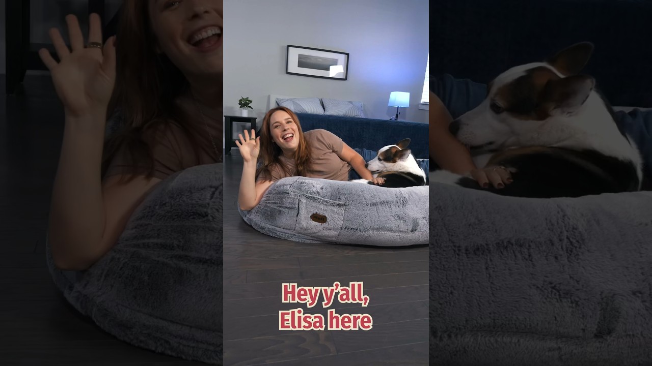 Plufl Review — The Best Dog Bed For Humans? 