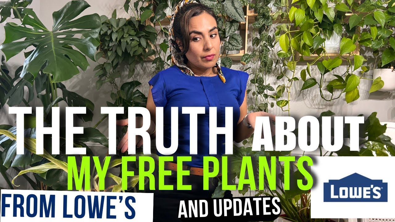 ОБНОВЛЕНИЯ RESCUE PLANTS/БЕСПЛАТНЫЕ РАСТЕНИЯ LOWES