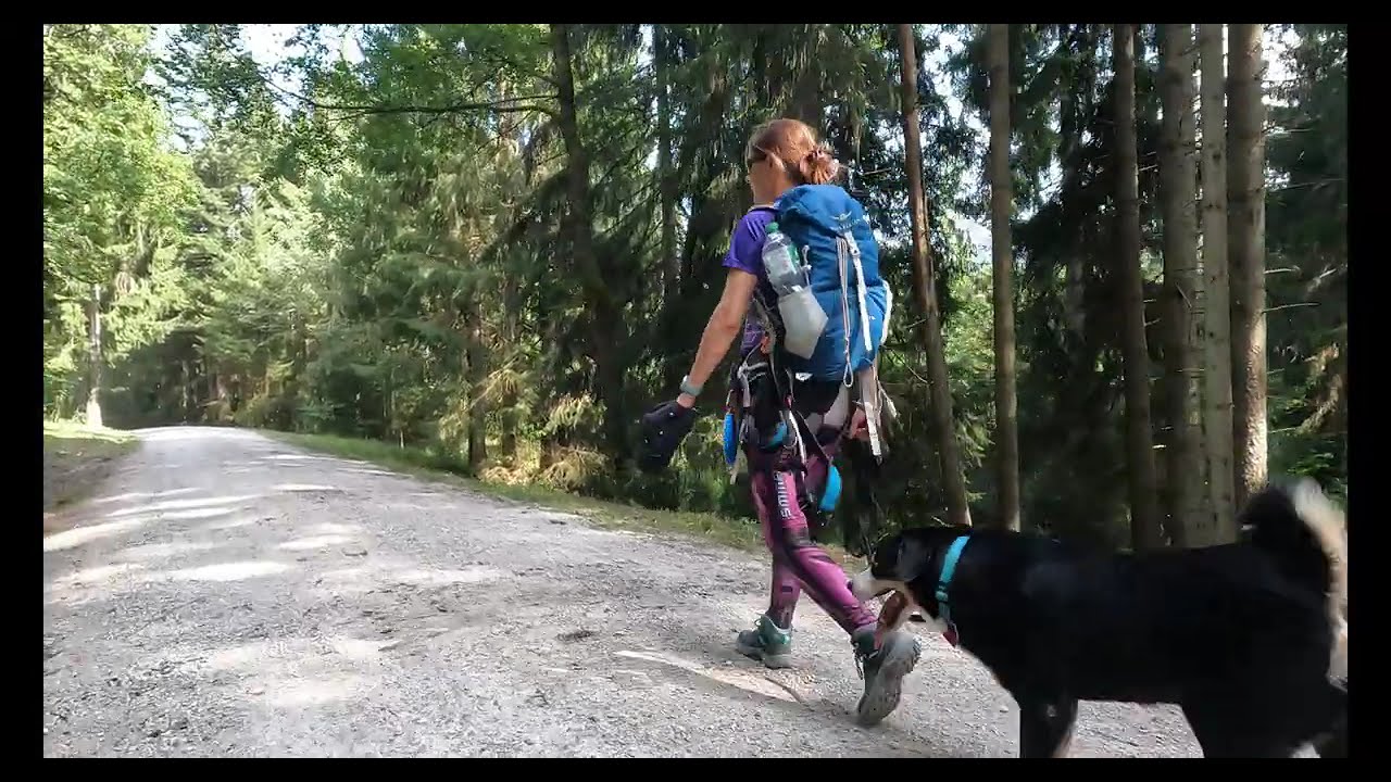 Tegernsee, Aueralm - Bad Wiessee, Wandern mit Hund