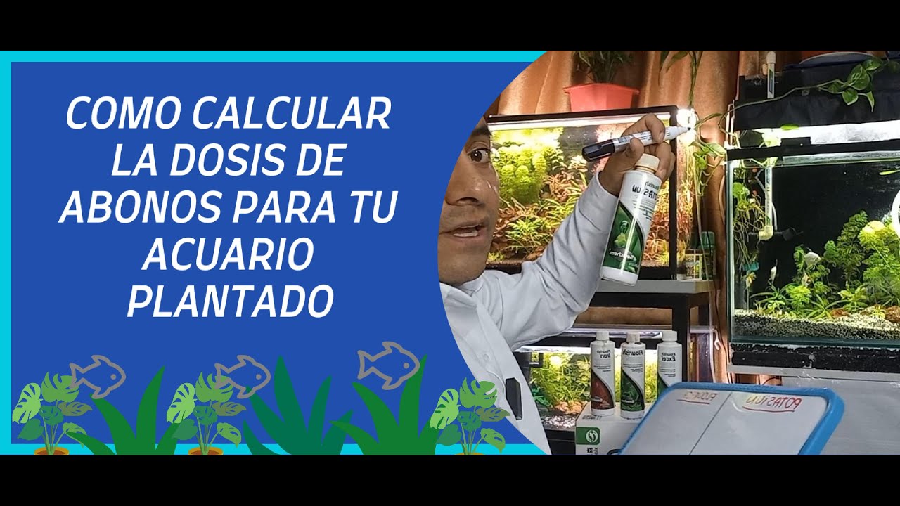 COMO CALCULAR LA DOSIS DE ABONOS PARA TU ACUARIO PLANTADO 🌿🐟🌱