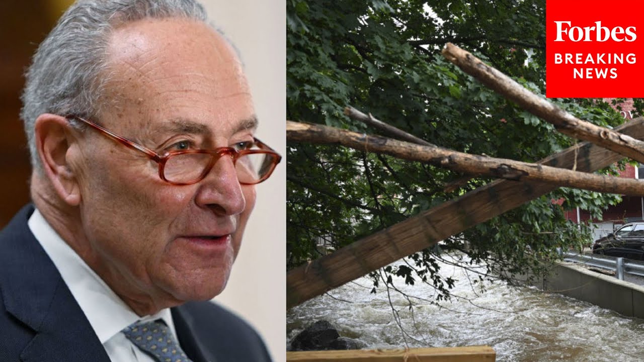 JUST IN: Schumer Discusses Massive Flooding In New York On Senate Floor