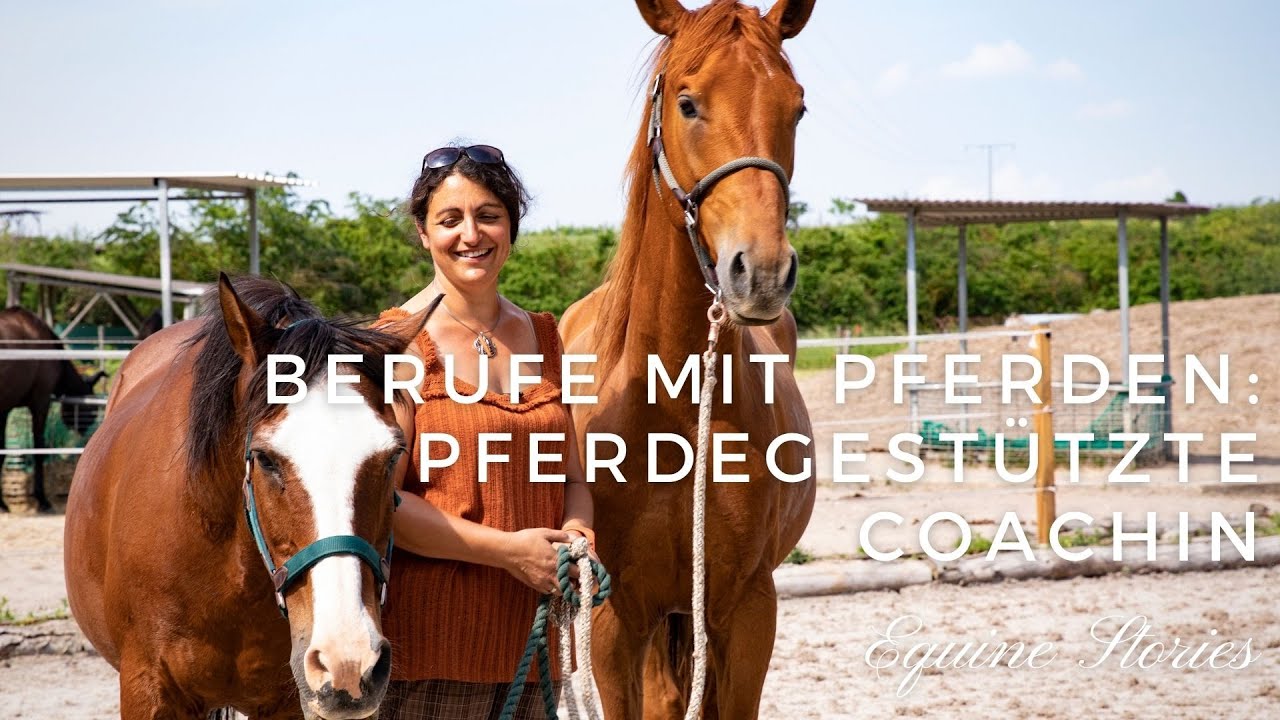 Berufe mit Pferden - pferdegest&uuml;tzte Life- und Businesscoachin