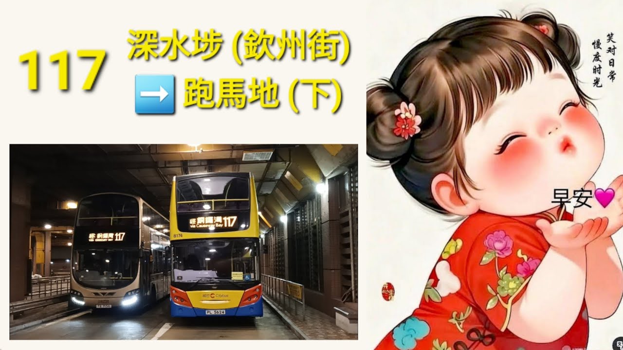 Hong Kong Bus CTB 8174 @ 117 城巴 Alexander Dennis Enviro500 深水埗(欽州街) 跑馬地(下)