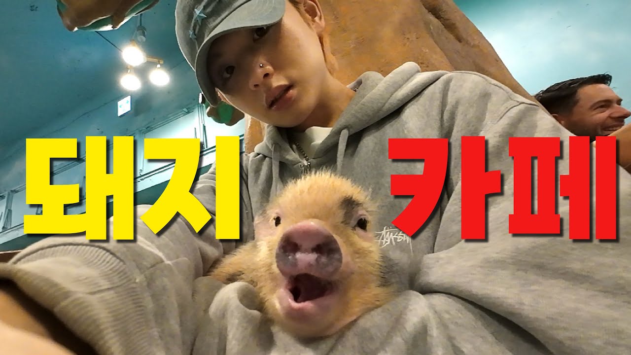 처음 오사카에 왔다면 따라해 볼만한 오사카 하루 풀코스 여행 [일본 2]
