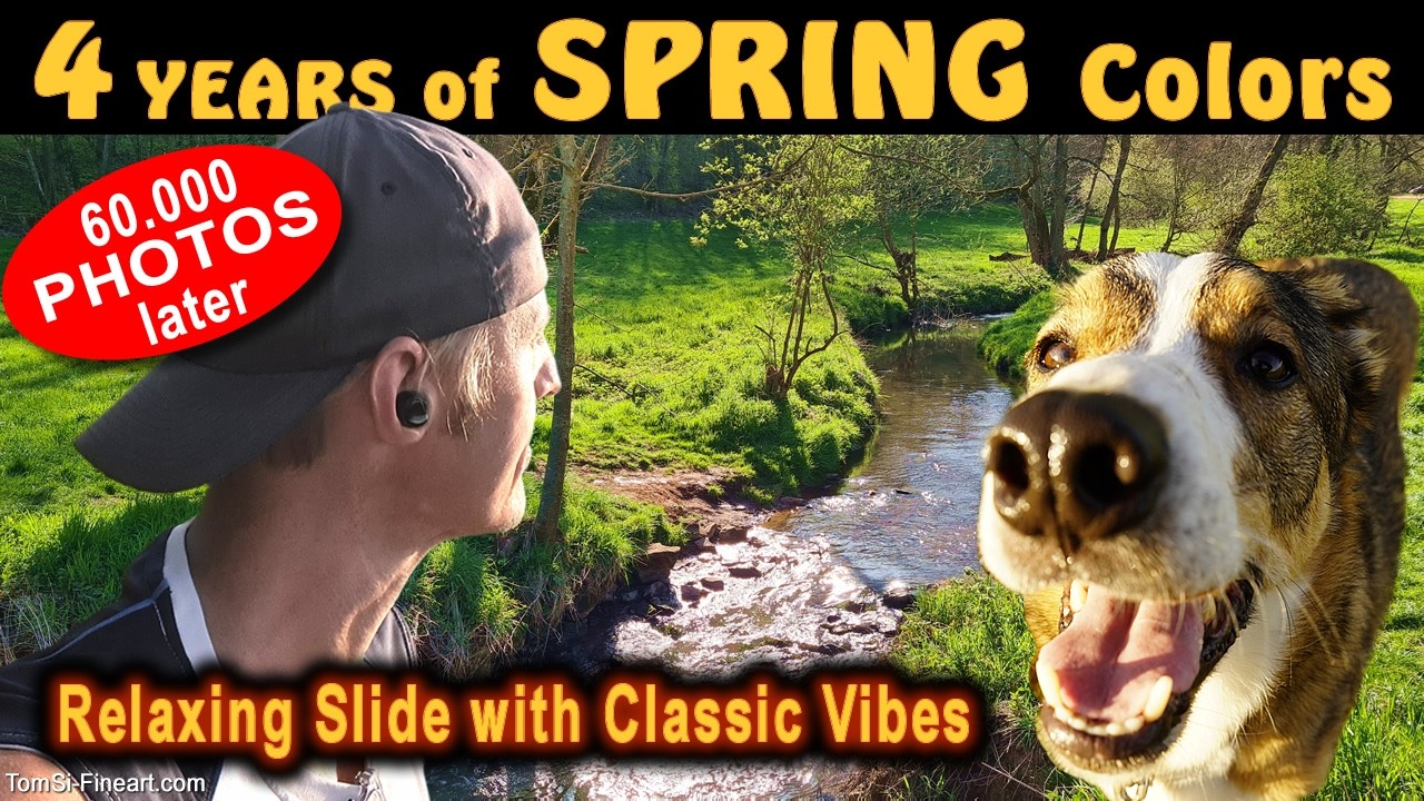 4 Years, 4 Seasons: SPRING | 1,500 Days of Walking with Odin (Photo Slideshow)