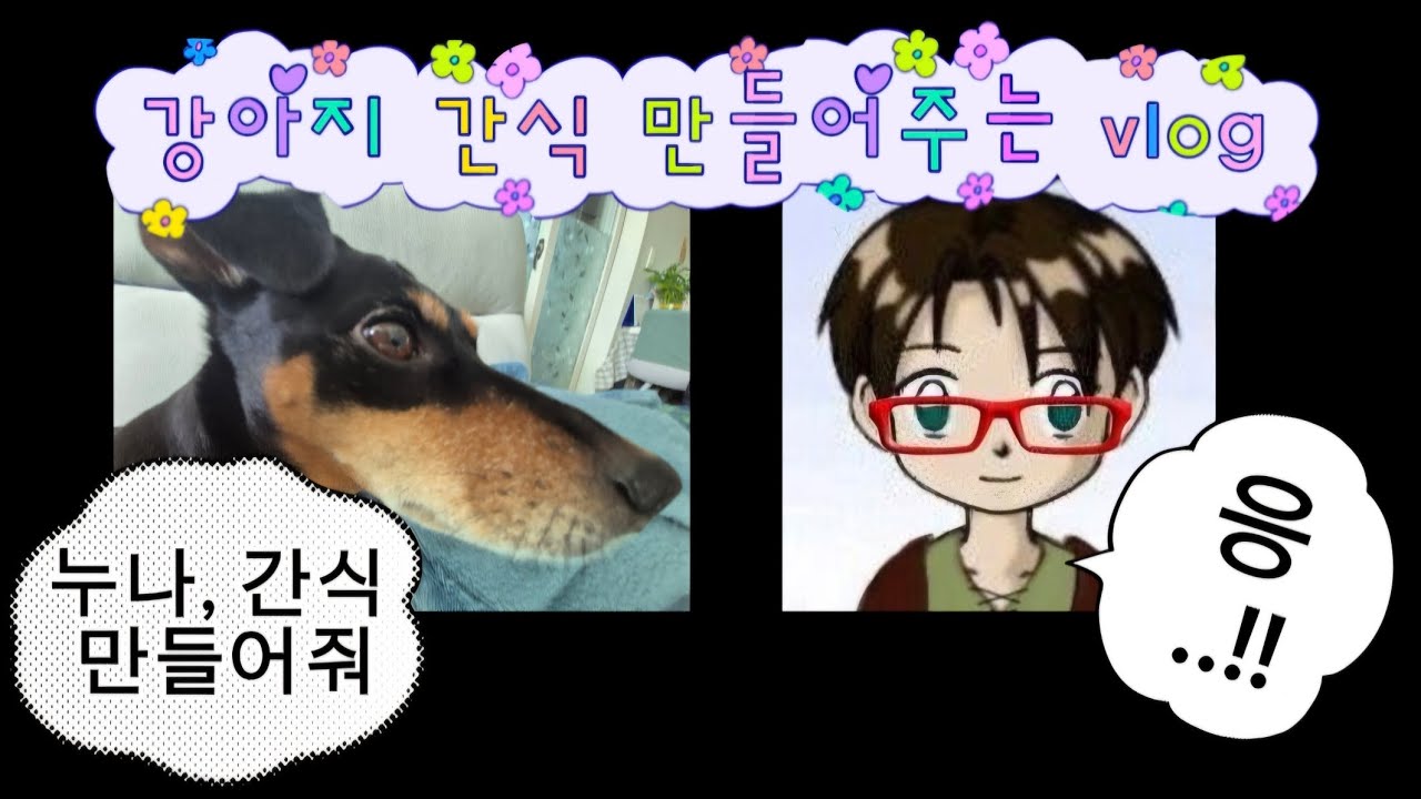 강아지 간식 만들어주는 vlog 