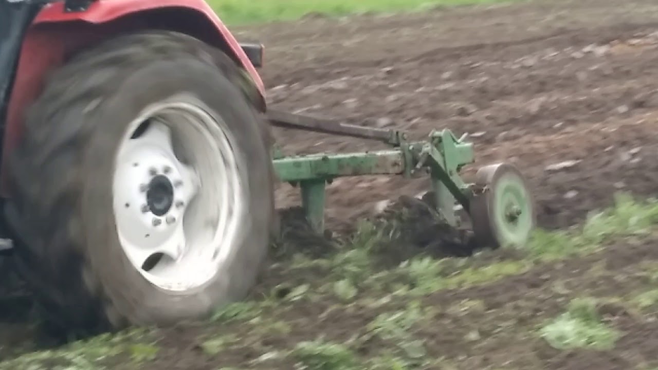 AGRO RÓJ  - Prace