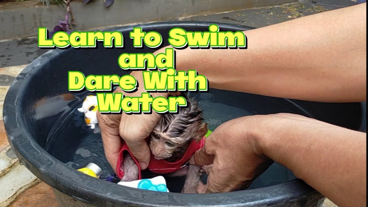 LEARN TO SWIM and Dare with Water , Lovely Fauna Youtube Channel