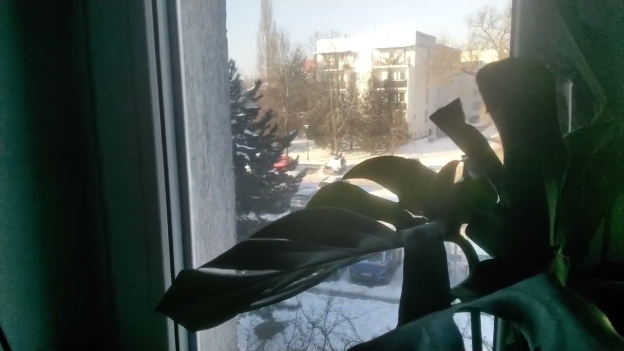 19.01.2026.WARSZAWA NATOLIN WYŻYNY W DZIEŃ ZIMĄ 