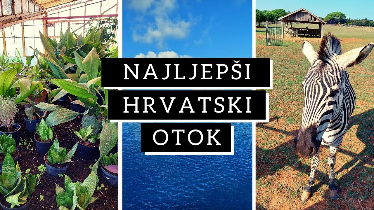 Ovo Je Najljepši Otok U Hrvatskoj I Nacionalni Park Brijuni Vlog