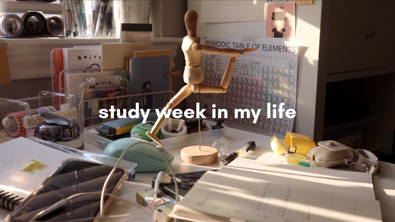 study week in my life: college lectures, yesstyle haul and sticker shop launching