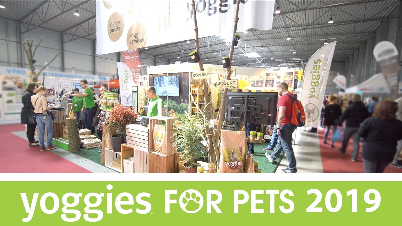 Yoggies na FOR PETS 2019
