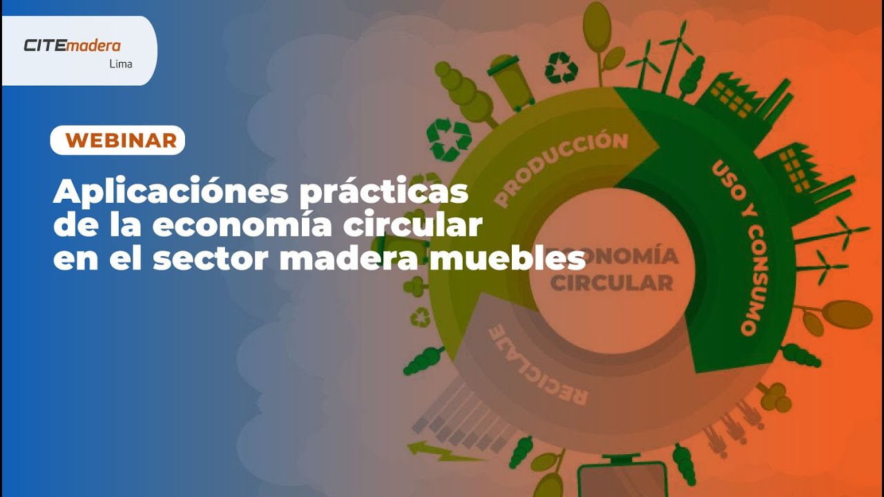 Aplicaciones pr&aacute;cticas de la econom&iacute;a circular en el sector madera muebles &ndash; CITEmadera