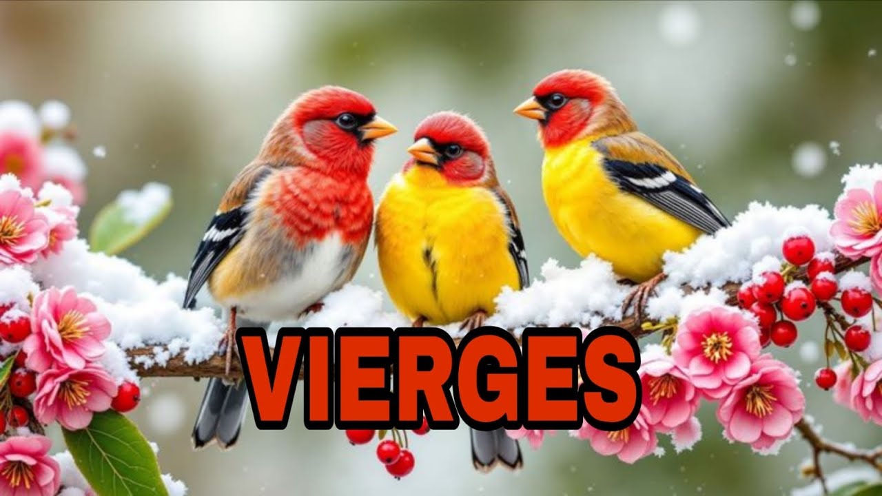 VIERGE 😍 Vous passerez de fauché à riche ! 🤑 VIERGE JANVIER 2026