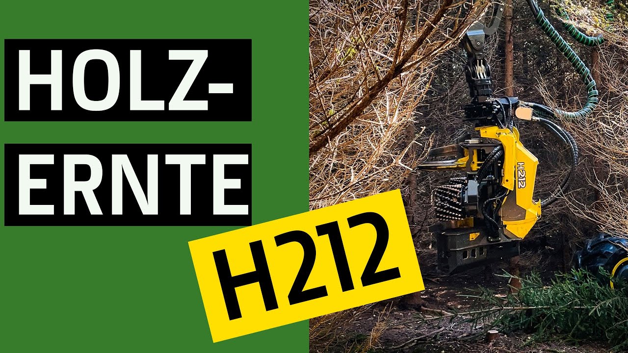 Holzernte mit einem H212 Aggregat