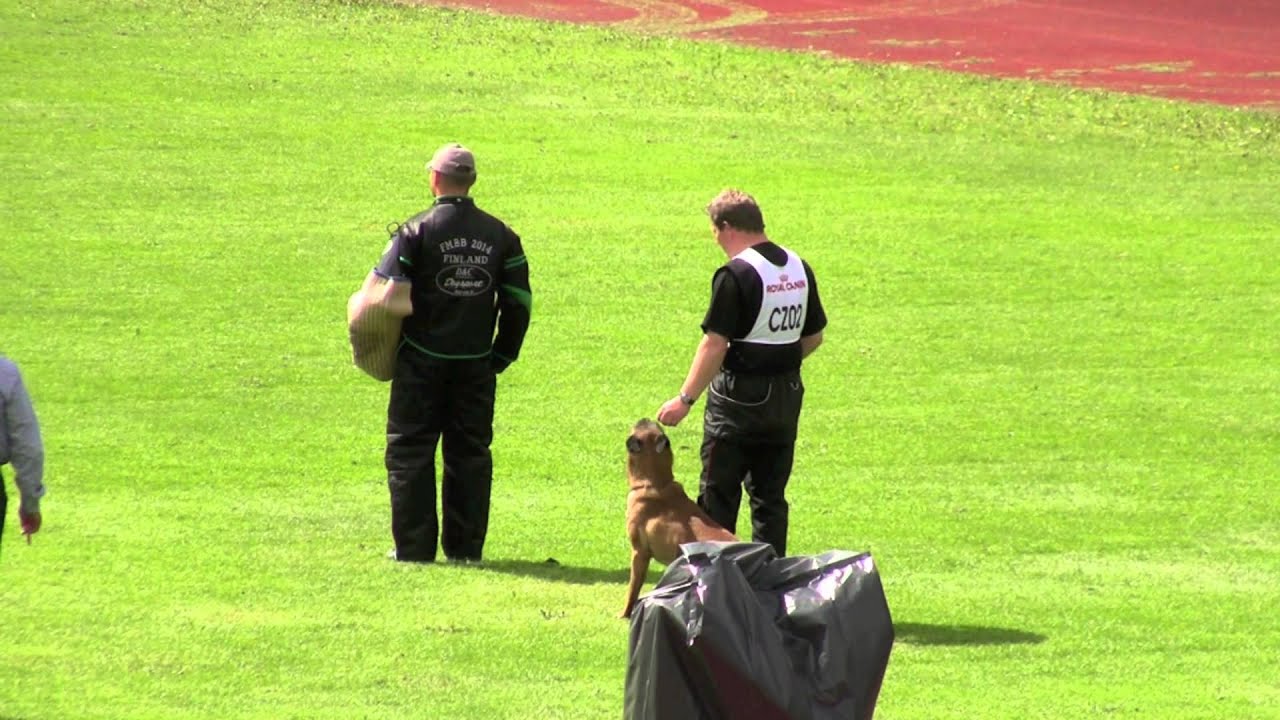FMBB 2014, Finland, Grand Final, Auzzy Ostraryka, C99p