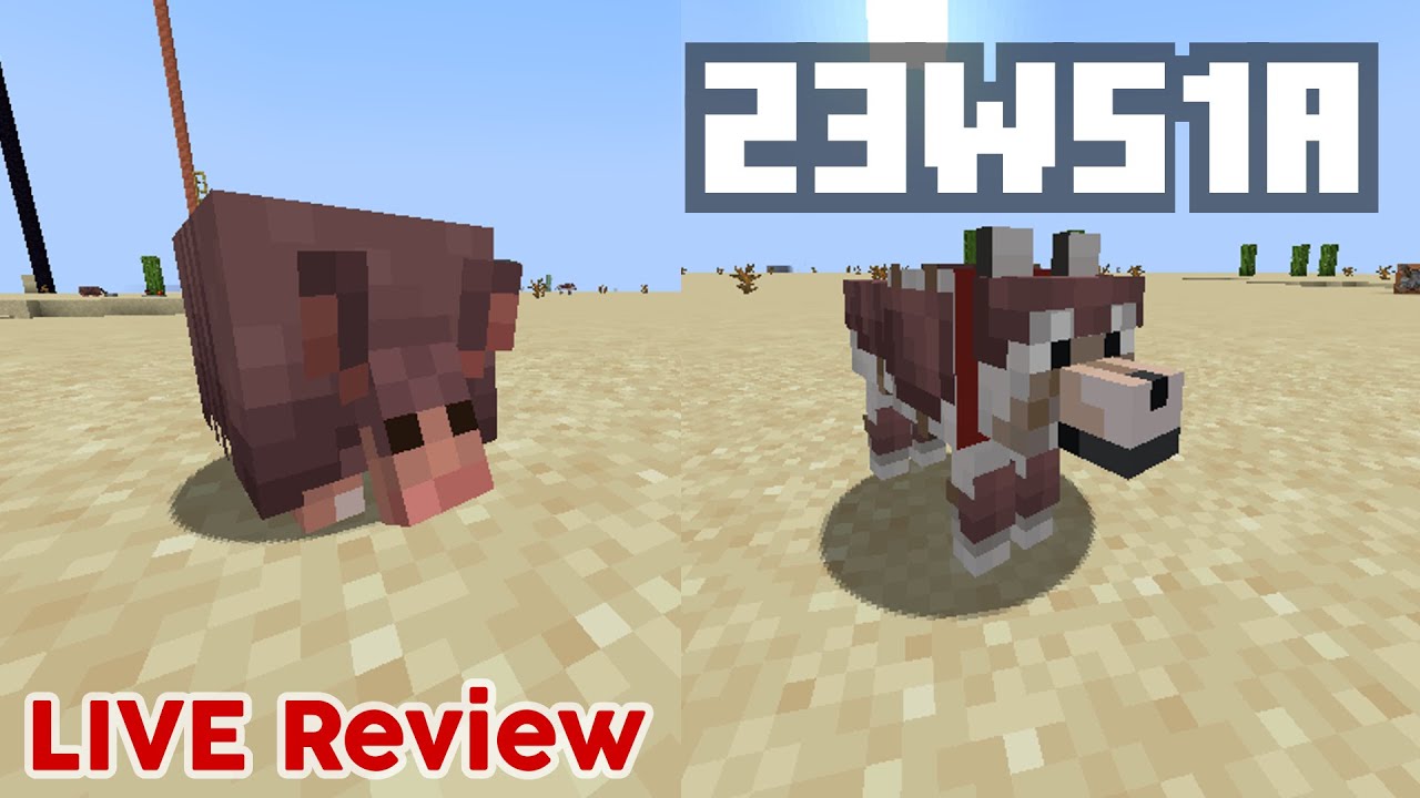 Minecraft 1.20.5 Snapshot 23W51A - Armadillo mob & Wolf Armor Added - New 1.21 Experiments