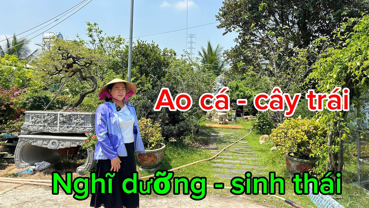 Củ Chi- nhà vườn 9.302 m2 cây trái- ao cá - thú nuôi- nhà mát đầy đủ tại Phước Thạnh