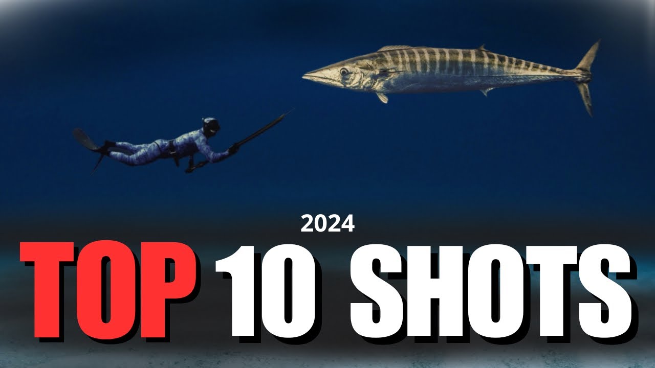 TOP 10 SHOTS 2024 - Pesca Submarina en Canarias