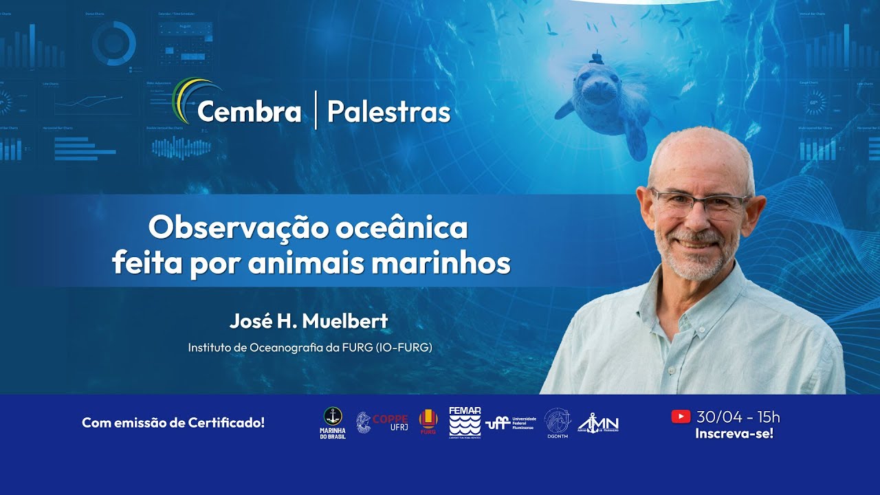 Observação oceânica feita por animais marinhos
