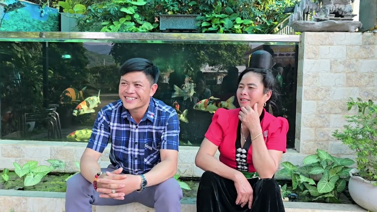 ÔI CĂNG QUÁ MỌI NGƯỜI ƠI( HÁT THÁI KIM CƯƠNG VÀ LÒ HUNG GẶP NHAU ĐỐI THỦ)