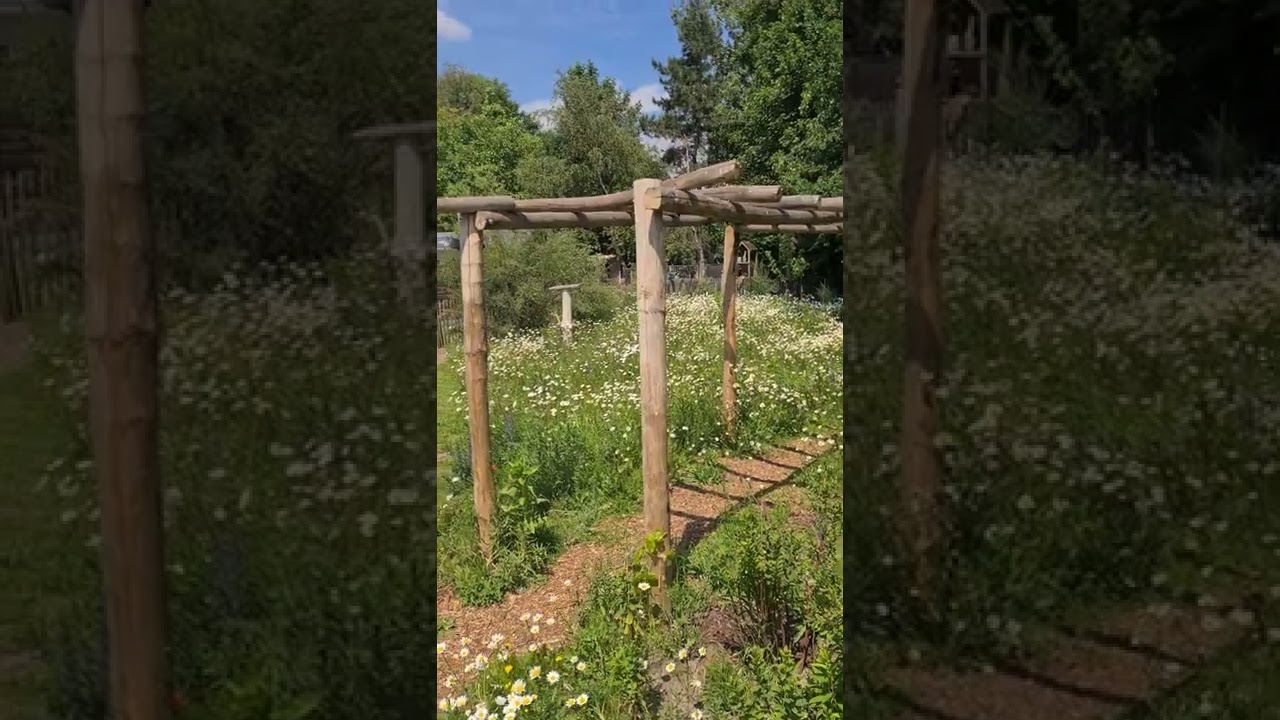 Hoe leg je een wilde bloemenweide aan?