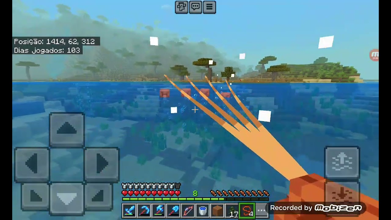 Minecraft survival 
