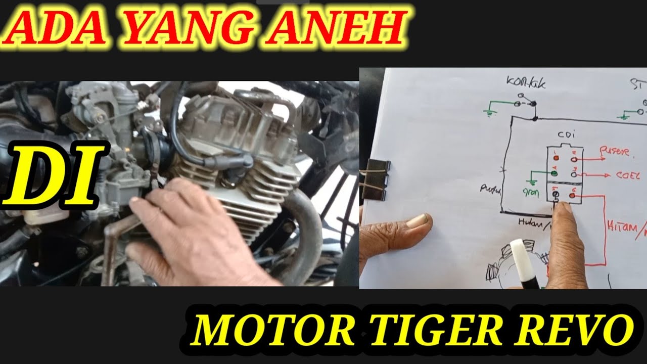 HONDA TIGER REVO KONTAK OF TAK MAU MATI INI CARANYA (@SM MOTOR)