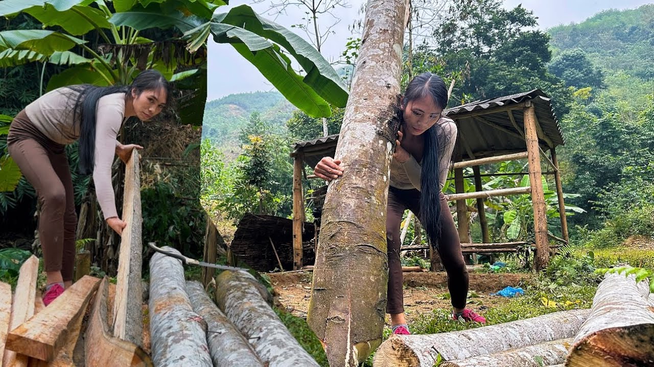 The Journey of a Girl Building a Wooden House From Scratch &ndash; Part 2