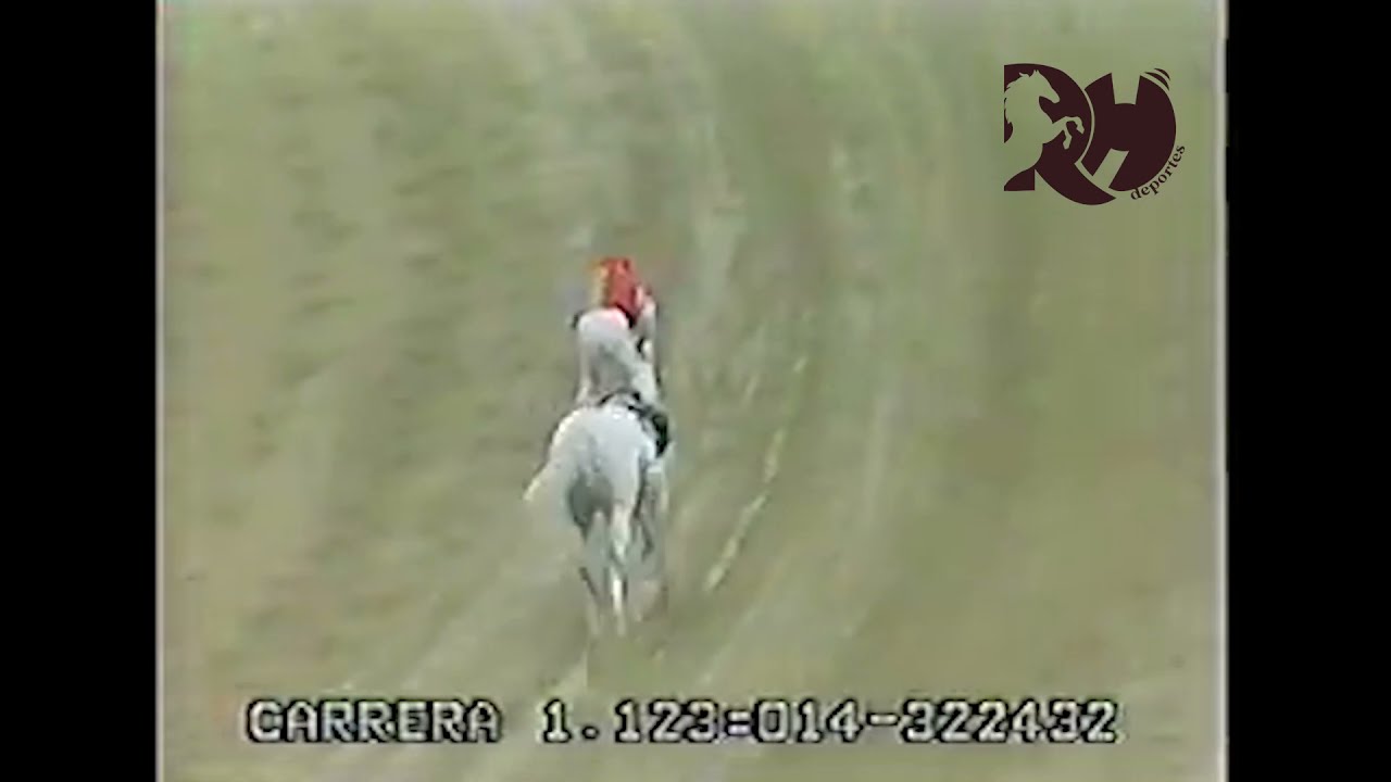 El caballo blanco CABO MENOR en apoteosico triunfo   ¡partió mal y al final venía como un bólido!