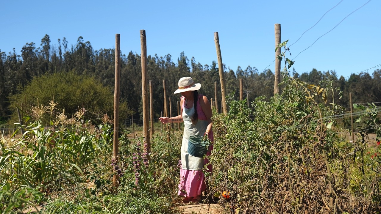 Estoy haciendo lo que puedo 💪💚   | construyendo la Casa y Preservando la Huerta