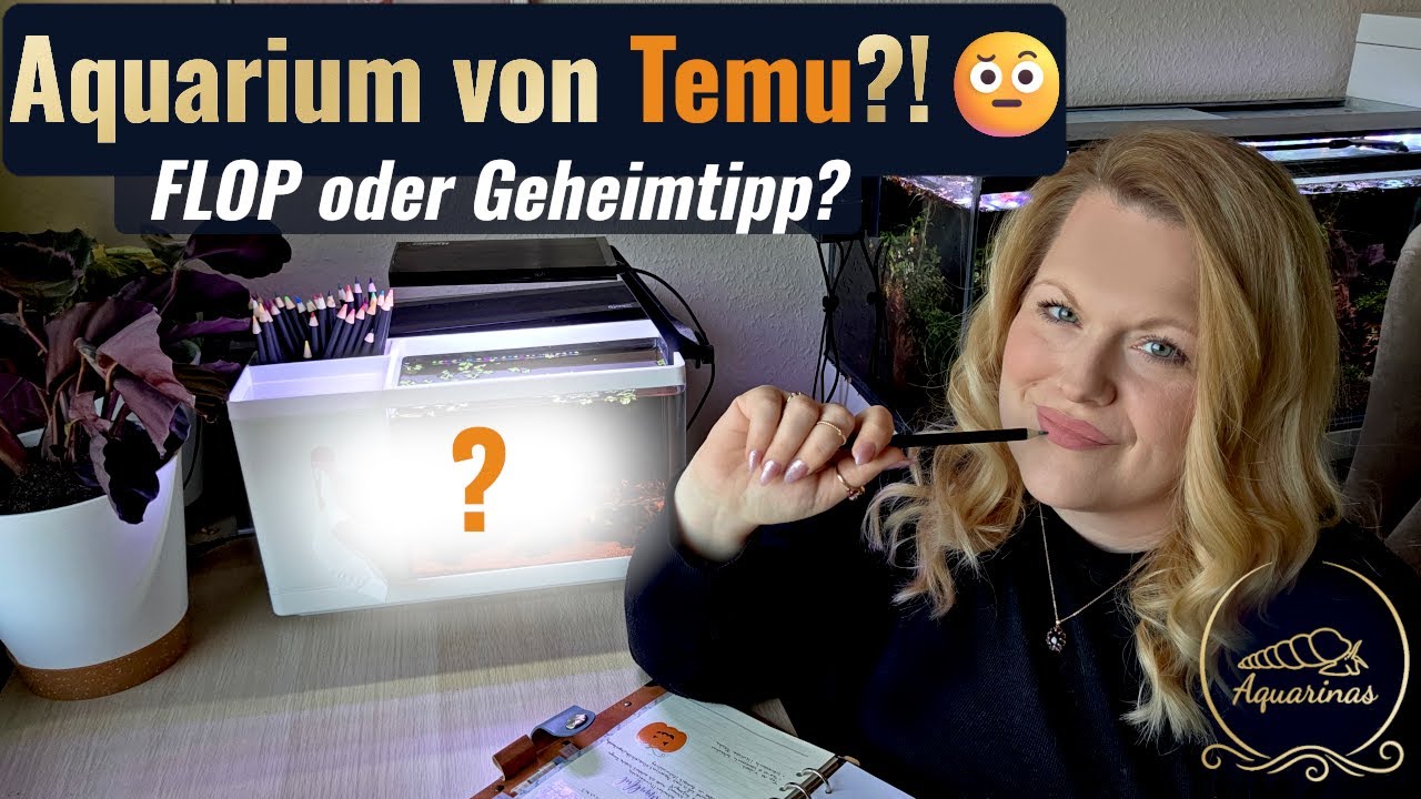 Ich habe ein Aquarium bei Temu für 20€ bestellt... und das kam an 😅