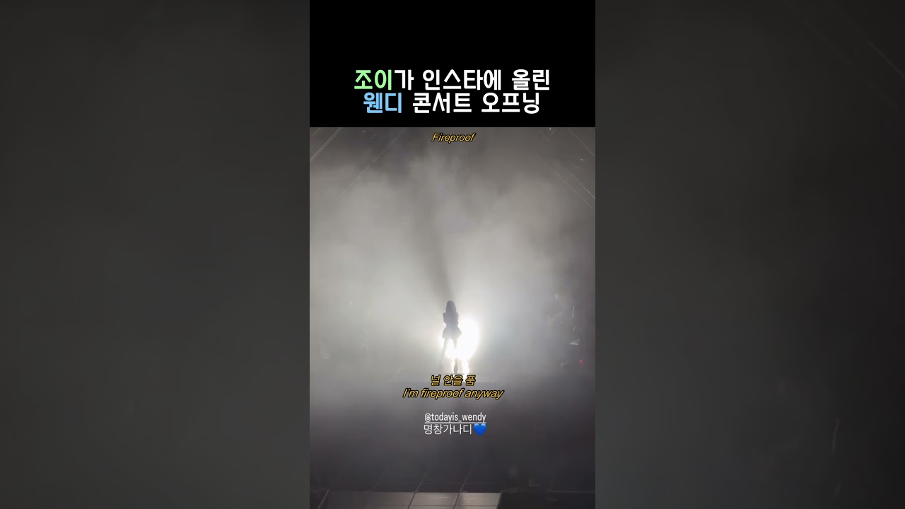 조이가 올린 어느 가수의  콘서트 오프닝