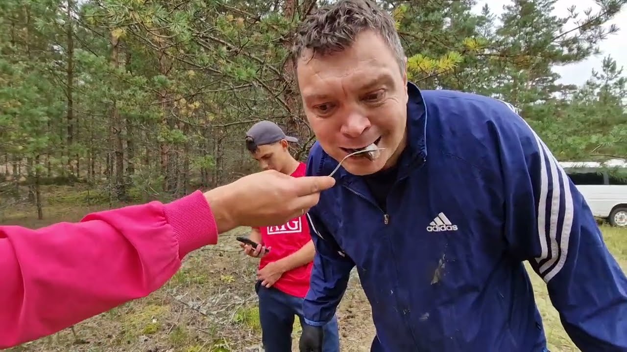 Surströmming / Сюрстрёмминг 