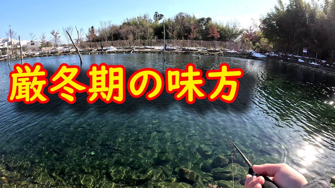 滋賀県遠征 管釣り編 フィッシングパーク高島の泉