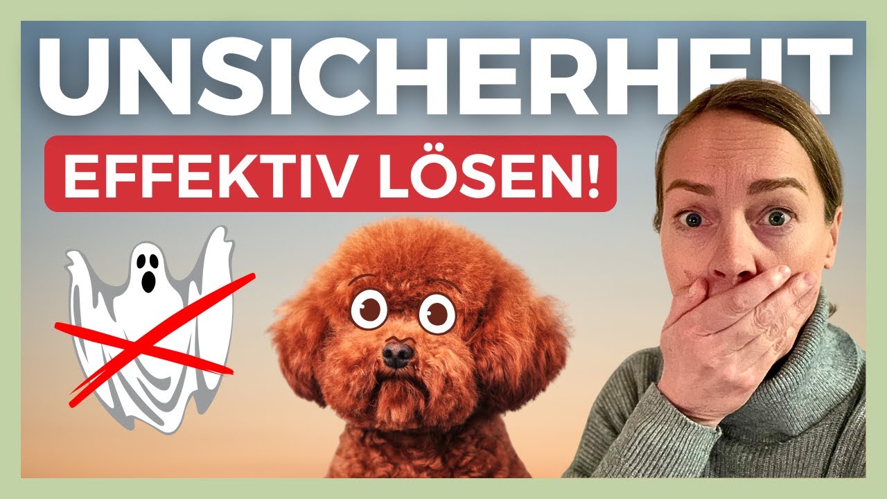 ⚠️ OH NEIN! SO VERSTÄRKST DU UNSICHERHEIT BEIM HUND UNBEWUSST –RICHTIG AGIEREN ✅ PRAXISVIDEO